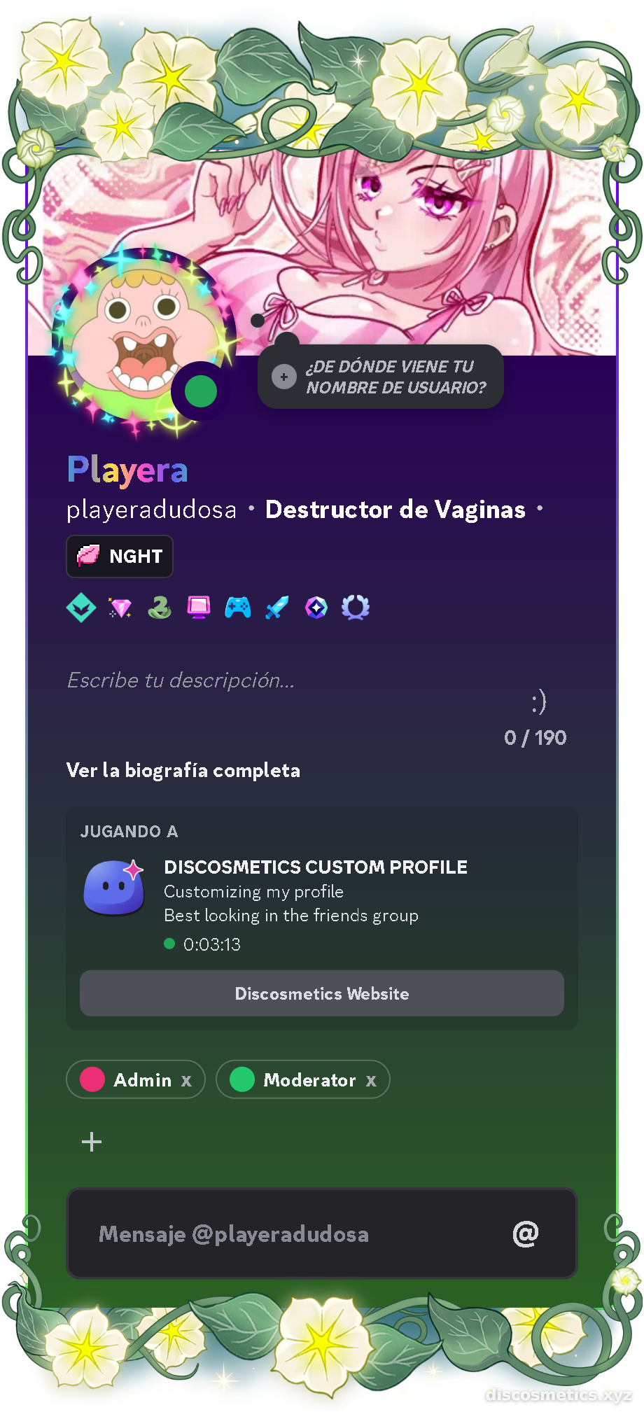 Perfil de Discord de playeradudosa